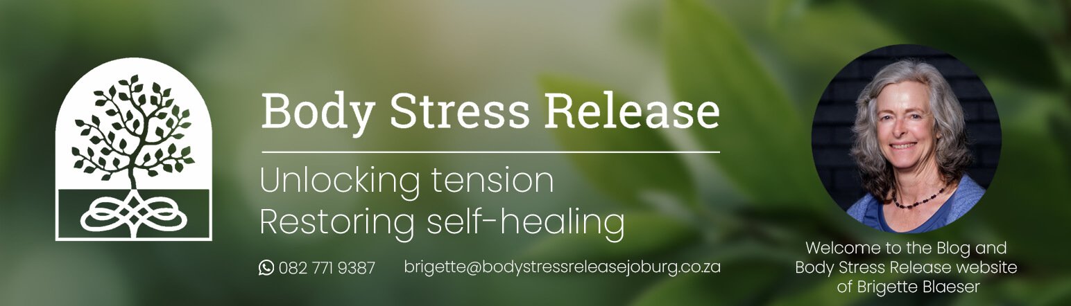 Body Stress Release Mondeor Johannesburg